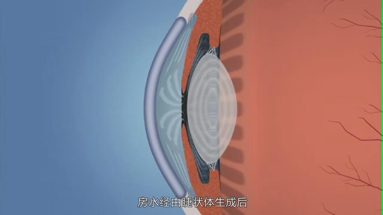 &#20247;&#24425;&#23448;&#32593;&#45;&#40;&#20013;&#22269;&#41;&#32929;&#20221;&#26377;&#38480;&#20844;&#21496;