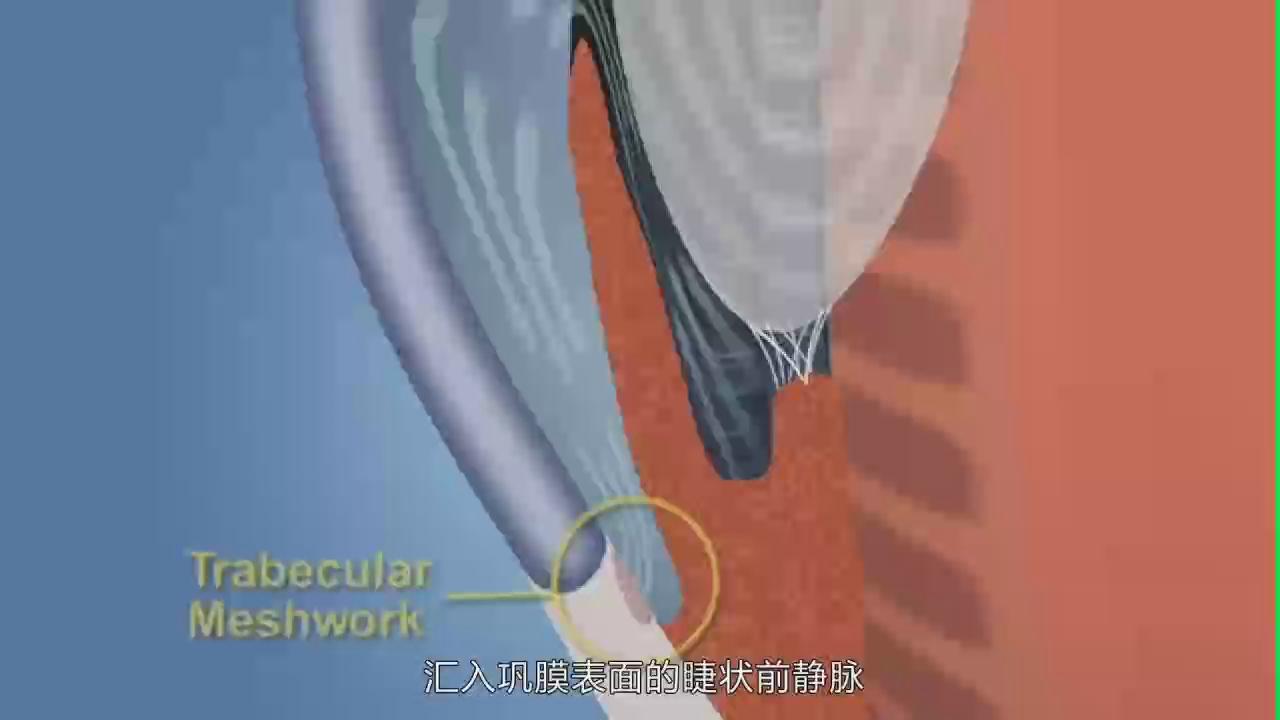 &#20247;&#24425;&#23448;&#32593;&#45;&#40;&#20013;&#22269;&#41;&#32929;&#20221;&#26377;&#38480;&#20844;&#21496;